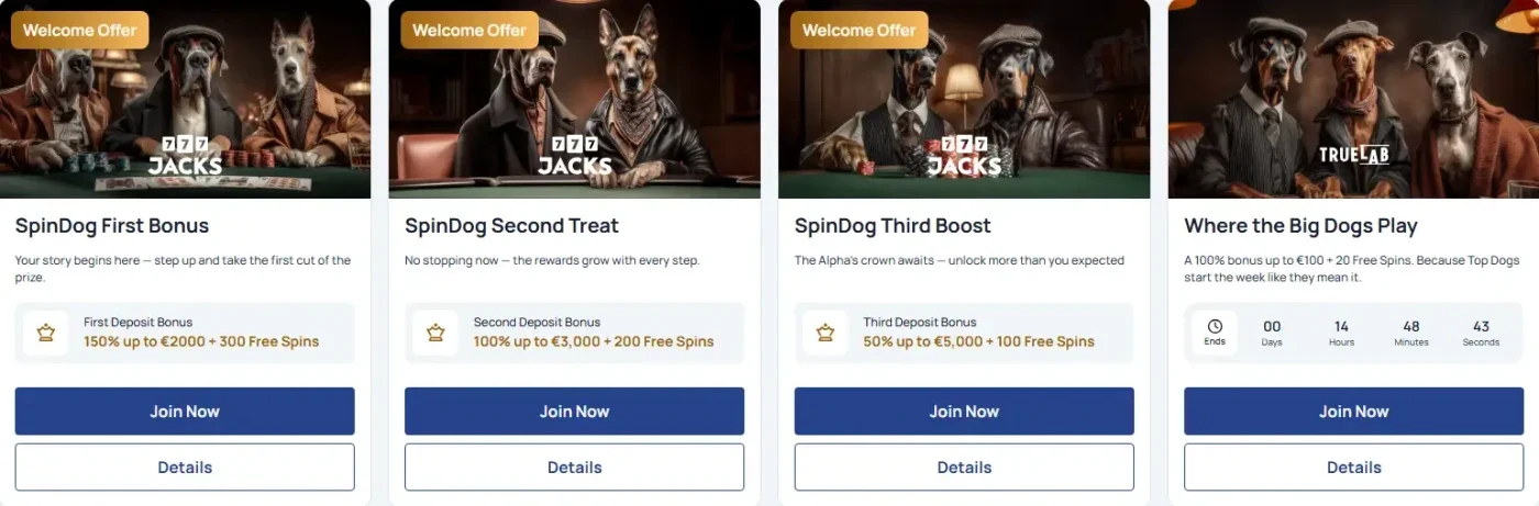 Spindog Casino banner
